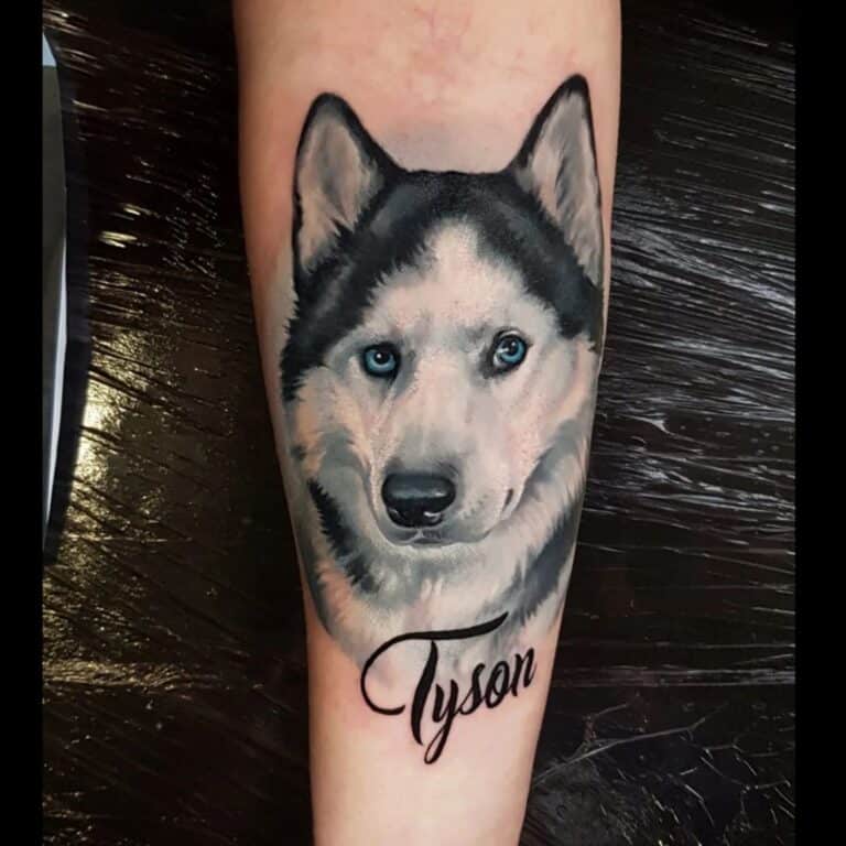Tattoo van een husky hond, gezet op een onderarm in kleur realisme. Geplaatst bij Inksane tattoo en piercing.