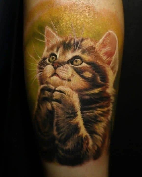 Tattoo van een kitten op onderarm, in kleur realisme. Gezet bij inksane tattoo en piercing